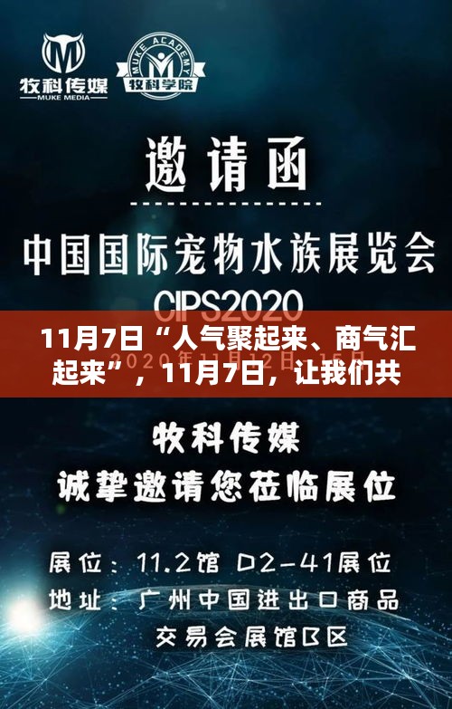 初告白 第52页