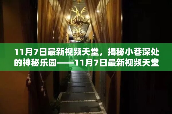 考级报名 第481页