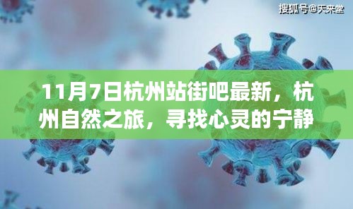 悠然自得 第44页