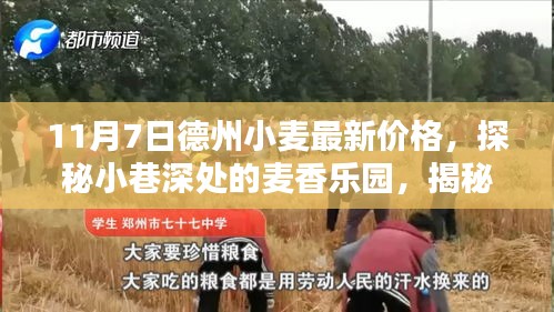 考级报名 第475页