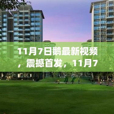考级报名 第472页
