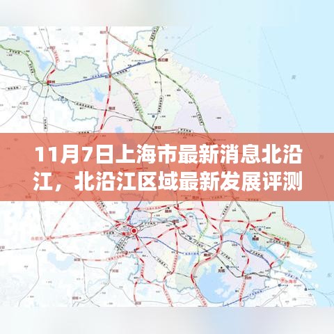 张牙舞爪 第42页