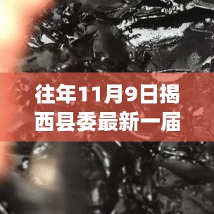 风驰电掣 第41页