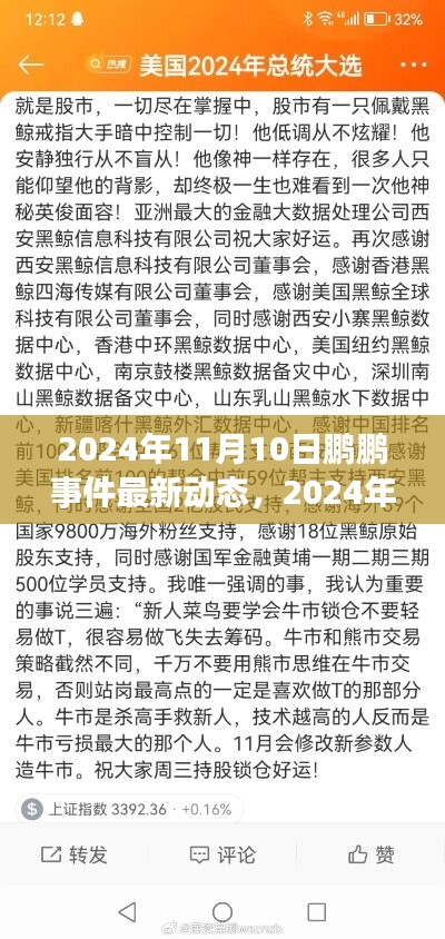 风驰电掣 第37页
