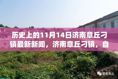 张牙舞爪 第28页