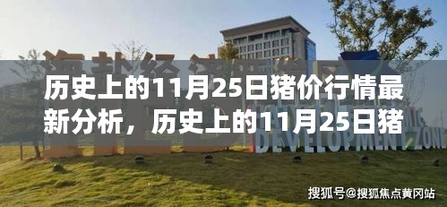 风驰电掣 第14页