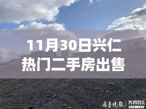 橘虞初梦 第13页
