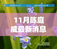张牙舞爪 第14页