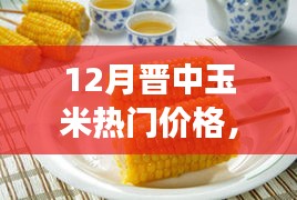 文质彬彬 第12页