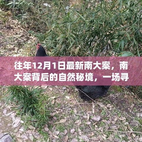 风驰电掣 第10页