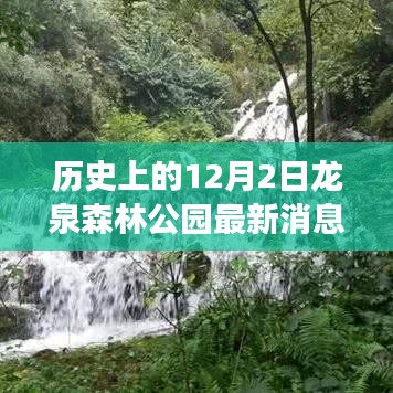 初告白 第12页