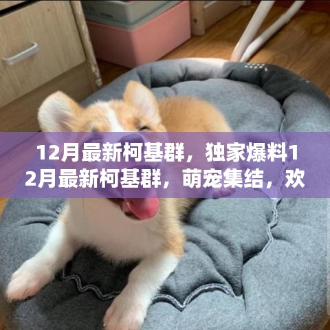 风驰电掣 第5页
