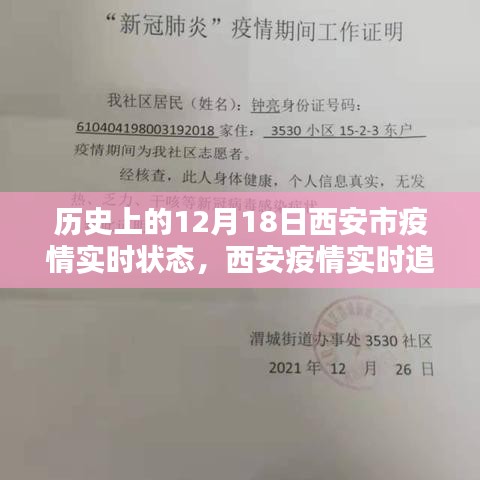 张牙舞爪 第3页