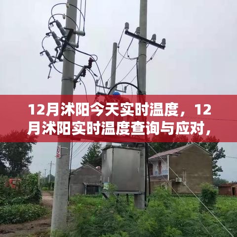 资料下载 第189页