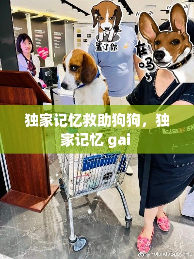 考级报名 第151页