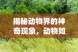 温柔敦厚 第2页