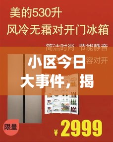 考级报名 第55页
