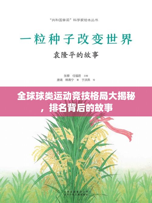 考级报名 第51页