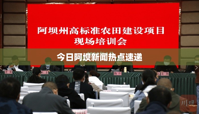 关于我们 第50页