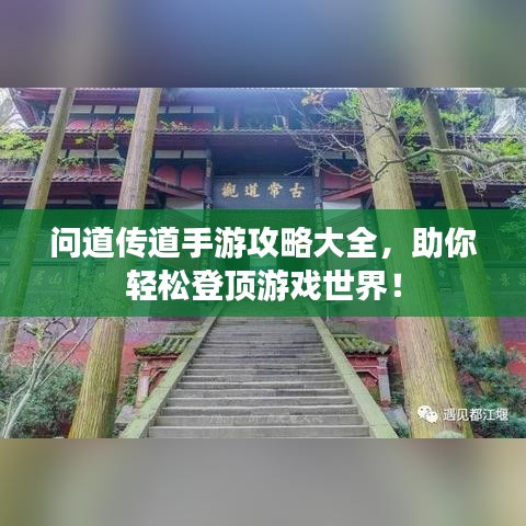 考级报名 第46页
