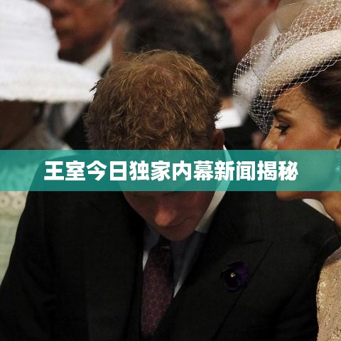 考级报名 第28页