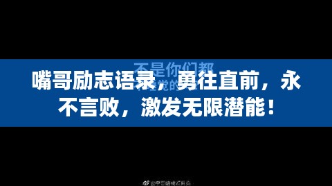 关于我们 第24页
