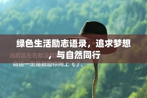 yuanfeichundong