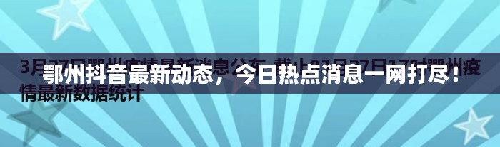 考级报名 第25页