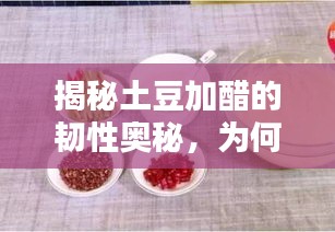 资料下载 第18页