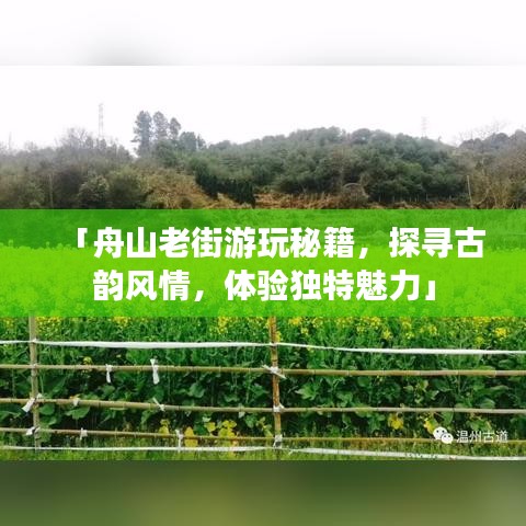 关于我们 第15页