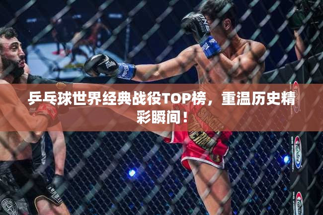 关于我们 第12页