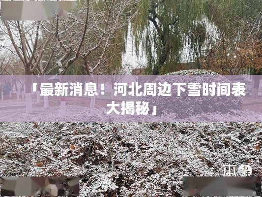 雅人清致
