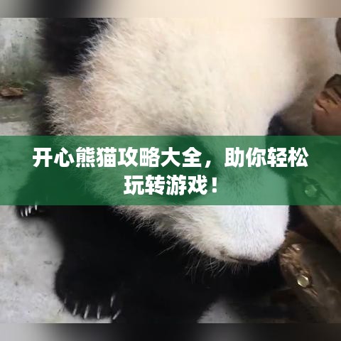 关于我们 第10页