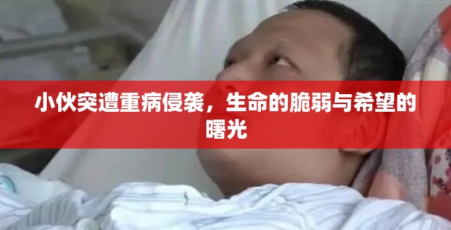 权贵显要