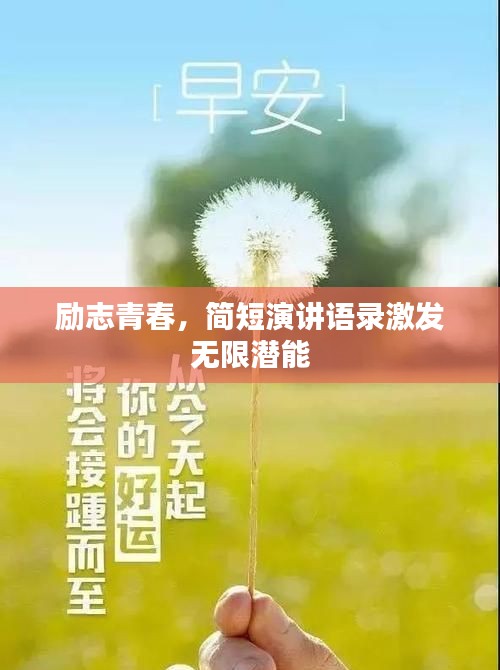 联系我们 第9页