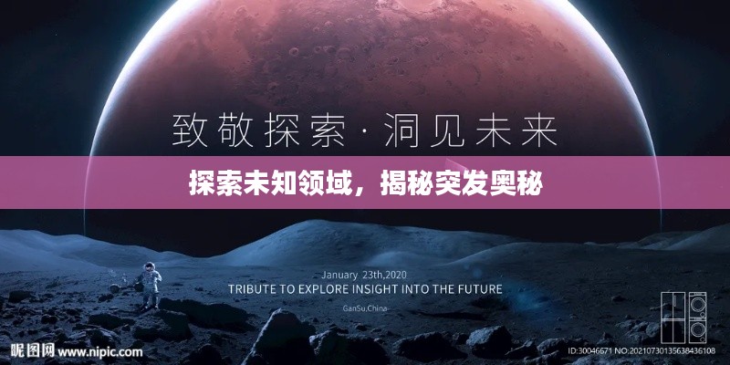 打张鸡儿