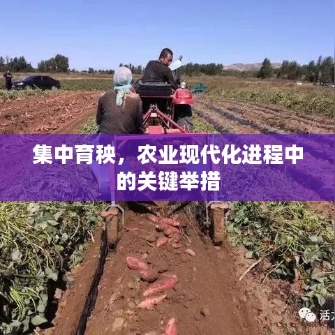 考级报名 第10页
