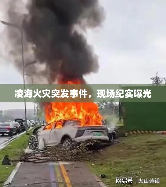 关于我们 第7页