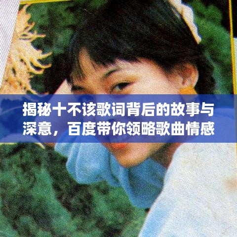见缝就钻