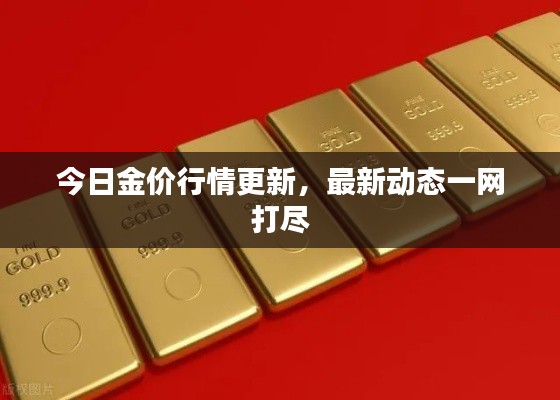 考级报名 第5页