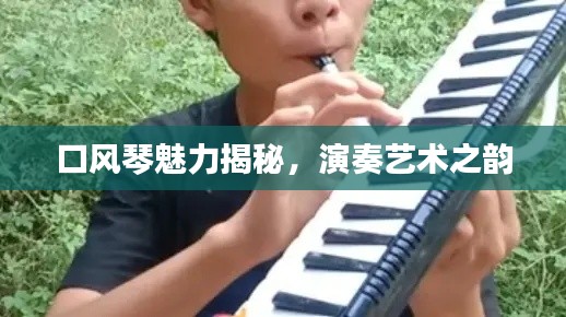 口风琴魅力揭秘，演奏艺术之韵