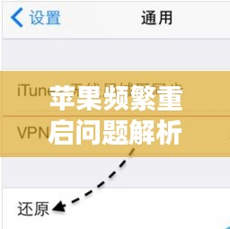 夯雀儿先飞