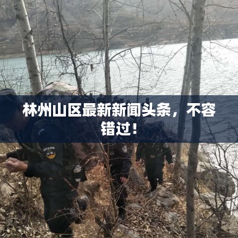 逸兴遄飞