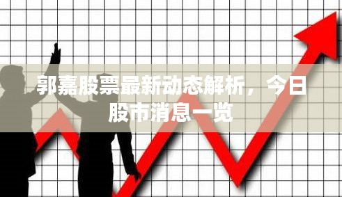 郭嘉股票最新动态解析，今日股市消息一览
