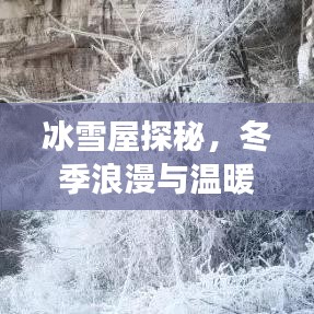 冰雪屋探秘，冬季浪漫与温暖的旅游攻略指南