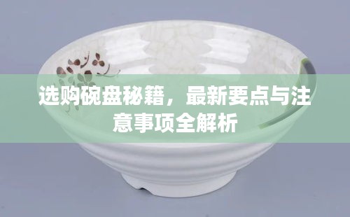 选购碗盘秘籍，最新要点与注意事项全解析