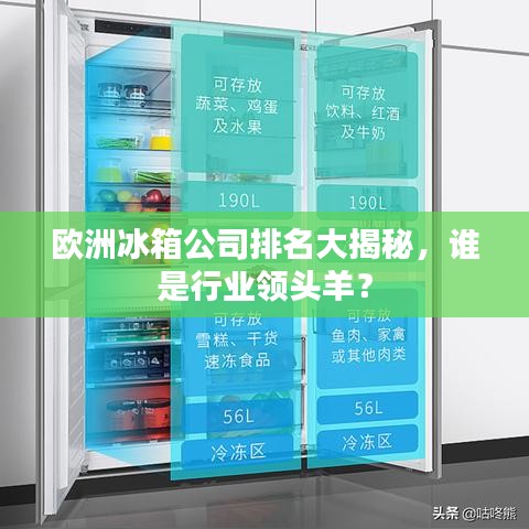 欧洲冰箱公司排名大揭秘，谁是行业领头羊？