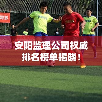 安阳监理公司权威排名榜单揭晓！