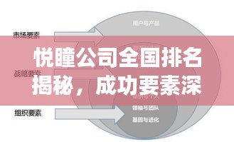 悦瞳公司全国排名揭秘，成功要素深度剖析