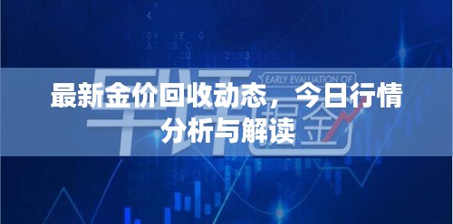最新金价回收动态，今日行情分析与解读
